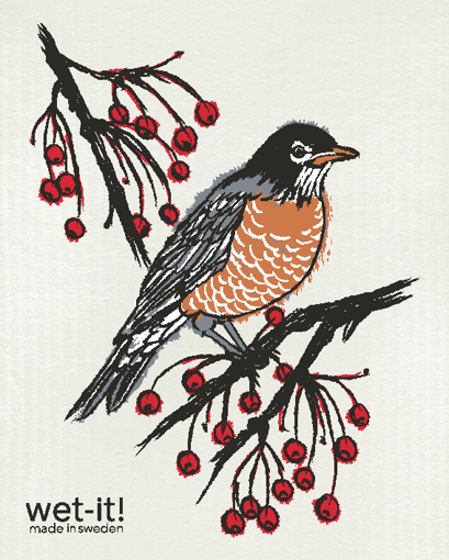 Picture of american robin; AMR
