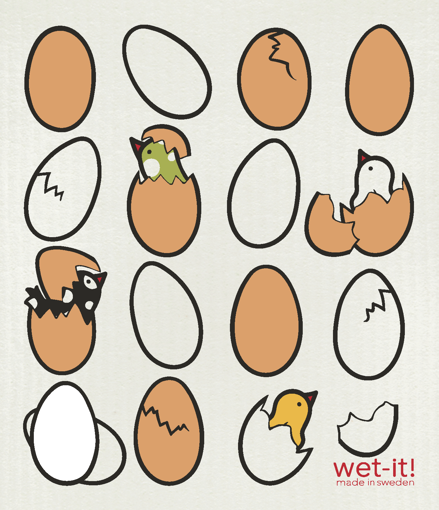Picture of eggs and hatchlings; EH